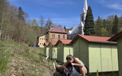 Stromy, plot a další důležité „drobnosti“ : Dubnová brigáda v Travné 2026