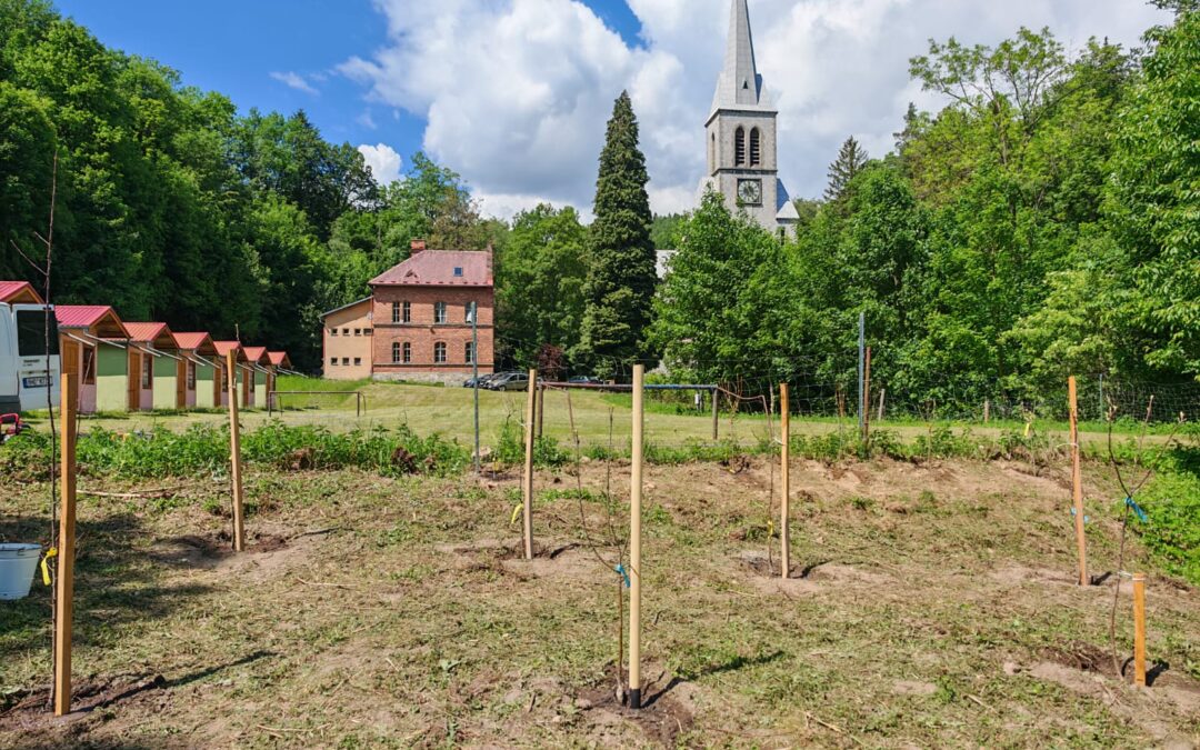 Květnová brigáda: boj s vegetací, natírání plotu a poutnické příběhy