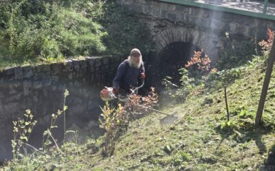 Pozvánka na poslední letošní brigádu v Travné 31.10.2026